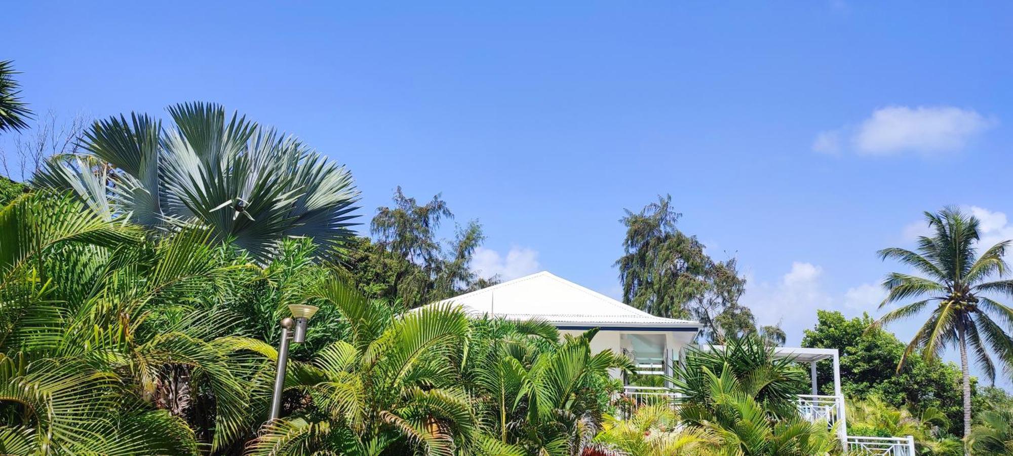 Villa Muscade Guadeloupe, Piscine, Vue Mer Et Acces Plage Saint-Francois  Exterior photo